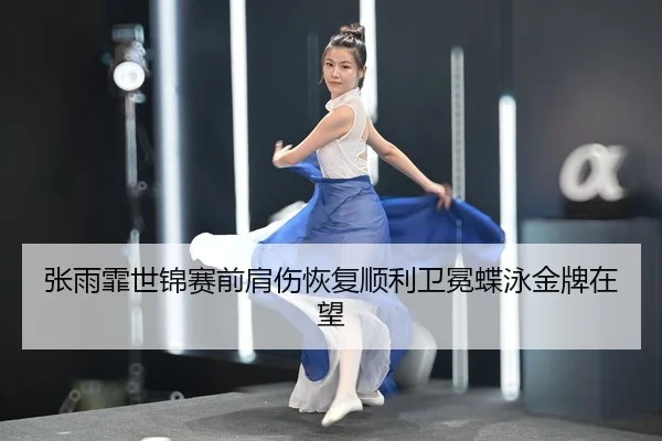 zhang-yu-fei-shi-jin-sai-qian-jian-shang-hui-fu-shun-li-wei-mian-die-yong-jin-pai-zai-wang-3-166.jpg