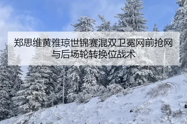 郑思维黄雅琼世锦赛混双卫冕网前抢网与后场轮转换位战术